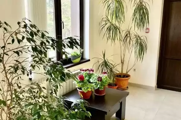 Частный сектор «Алексина», Лазаревское, Лазарева, д.11 Частный сектор «Алексина», Лазаревское, Лазарева, д.11